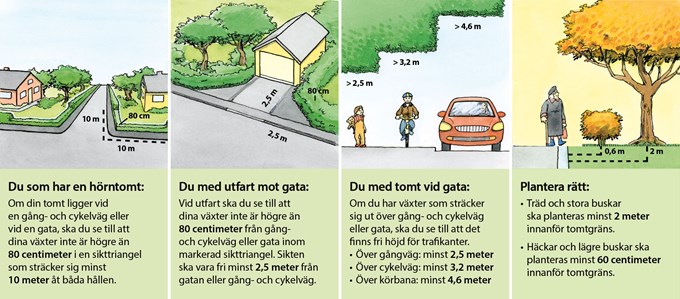 Illustrationen visar fyra exempel på hur växtlighet vid tomtgränsen kan påverka framkomlighet och trafiksäkerhet – och vilka regler som gäller för att undvika sikthinder.