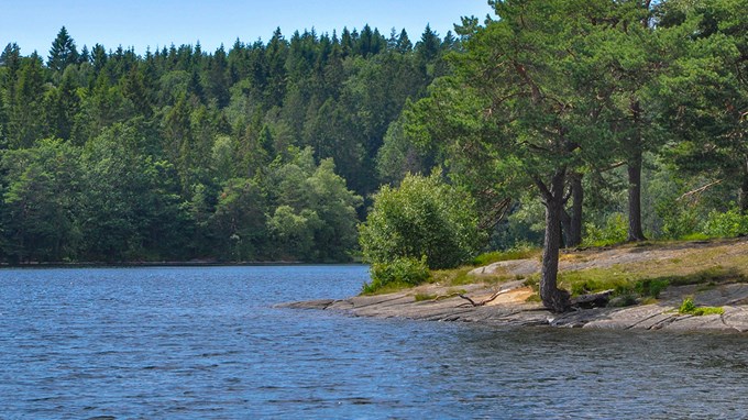 2410_kasjon_1920_1080.jpg