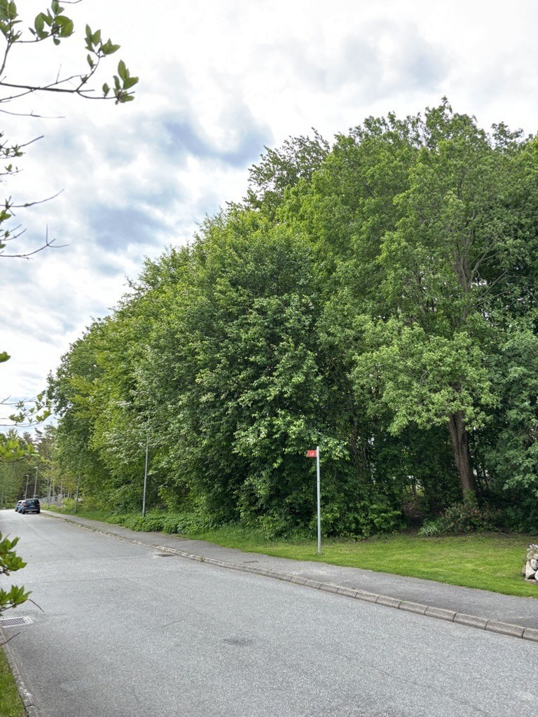 Bild från gatan på området Hägnekreken.