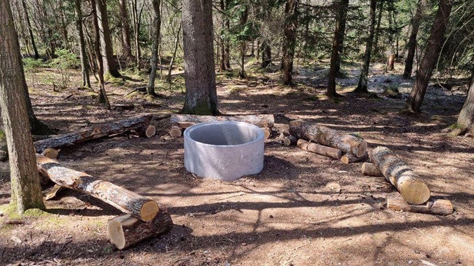 Öjersjö äventyr skolskog.jpeg