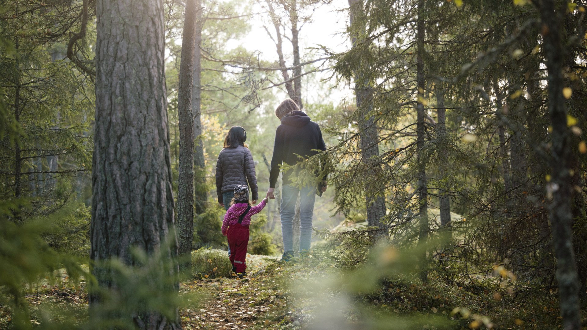 Personer på höstpromenad i skog