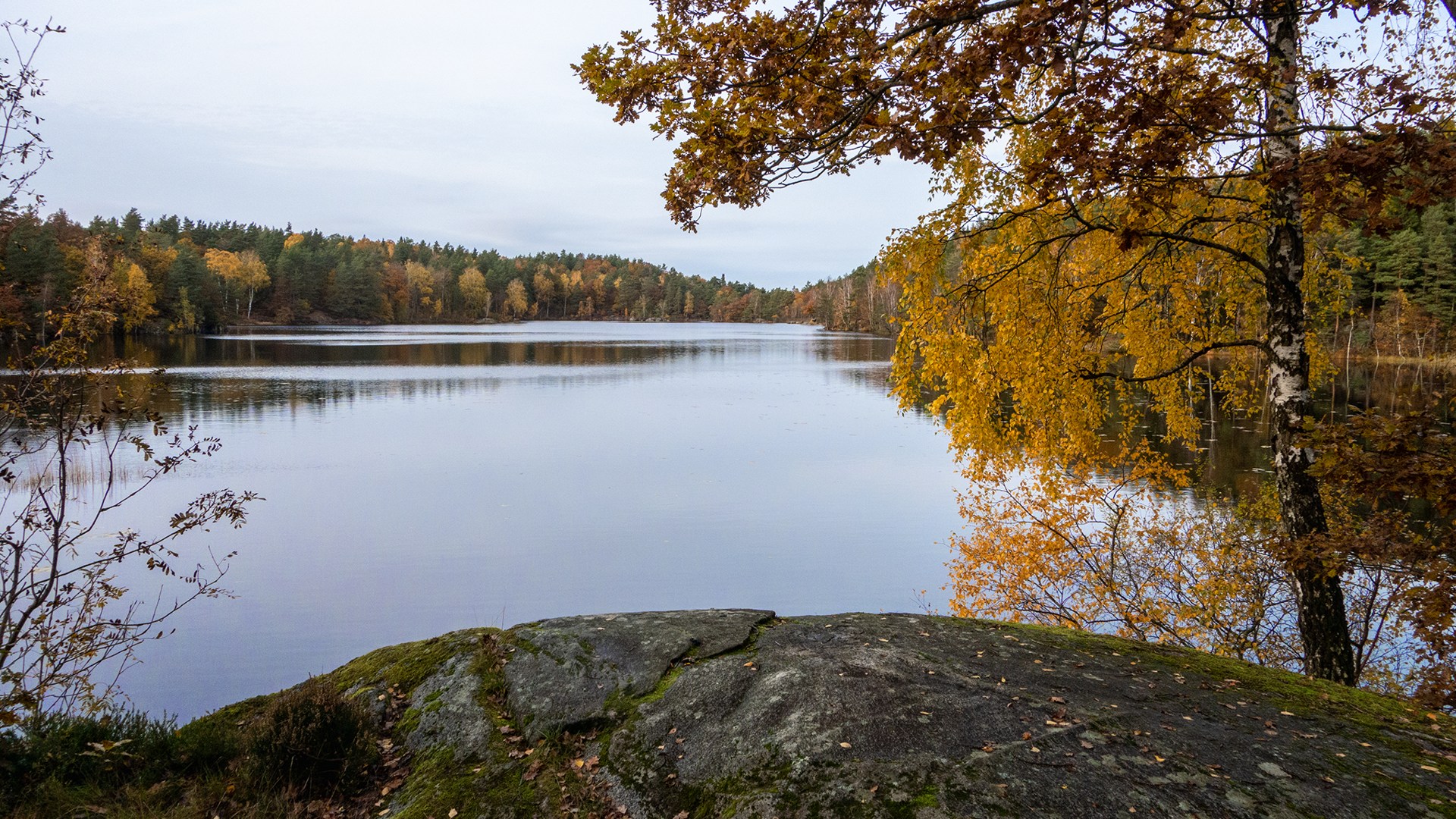 Bild på en tjärn med en klippa och träd i förgrunden.