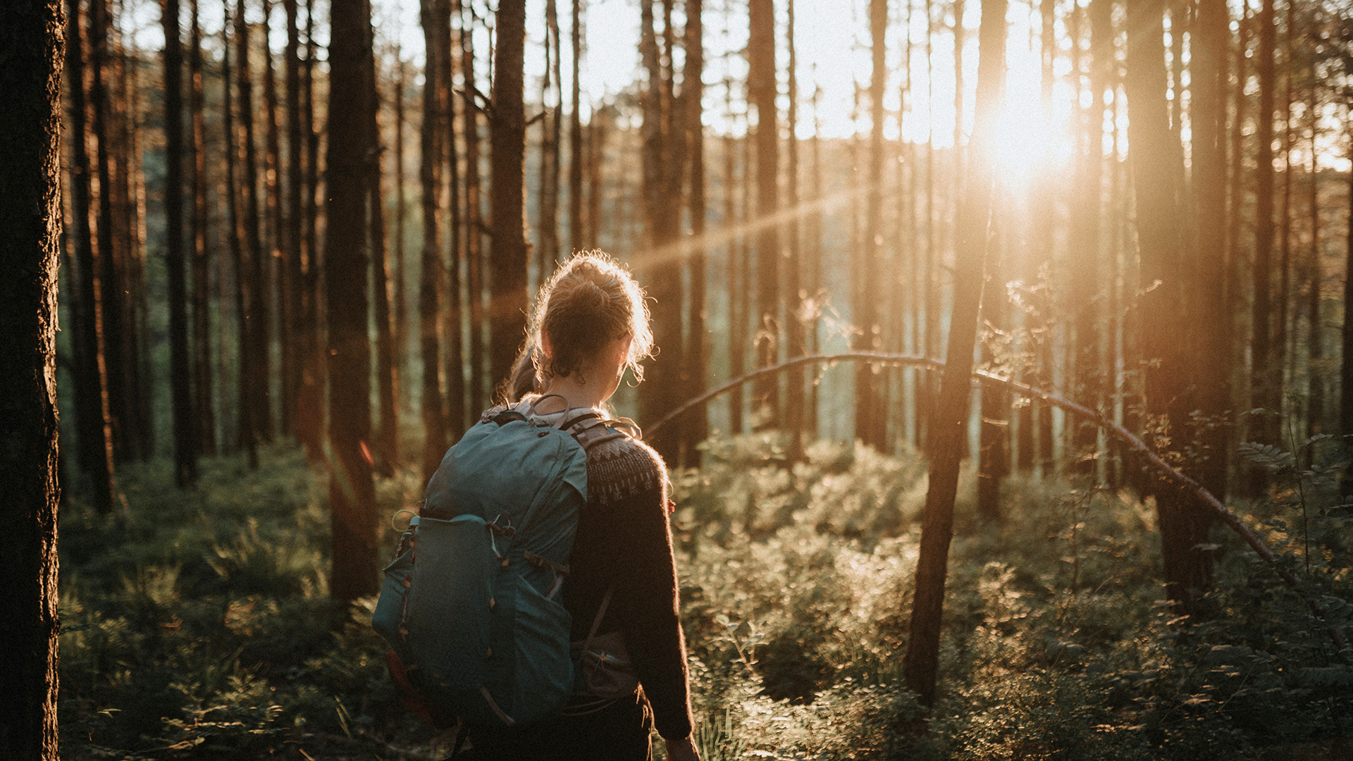 Bilden visar en person med ryggsäck i en skog med tallar i motljus.