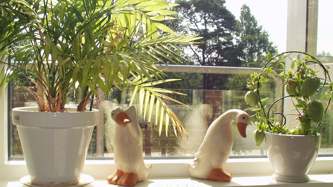 En bild på krukväxter och porslinsfigurer som står på en fönsterbräda.