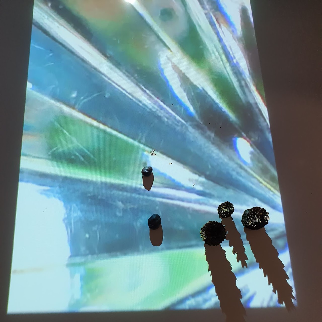 Bilden visar en projicerad bild som påminner om batikmönster på en Whiteboard och på den ligger en sten samt tre stycken stående kottar som ger skuggor. 