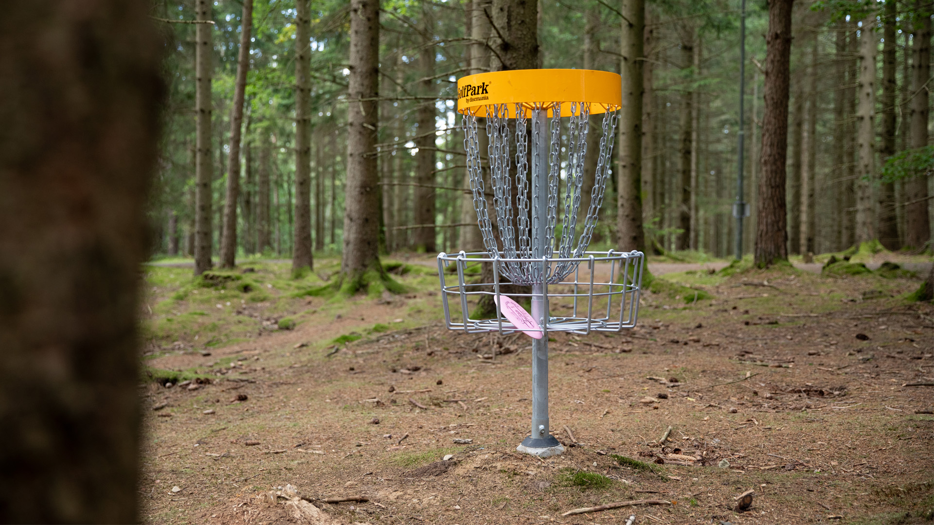 Bild som visar korg på Partille discgolfbana.