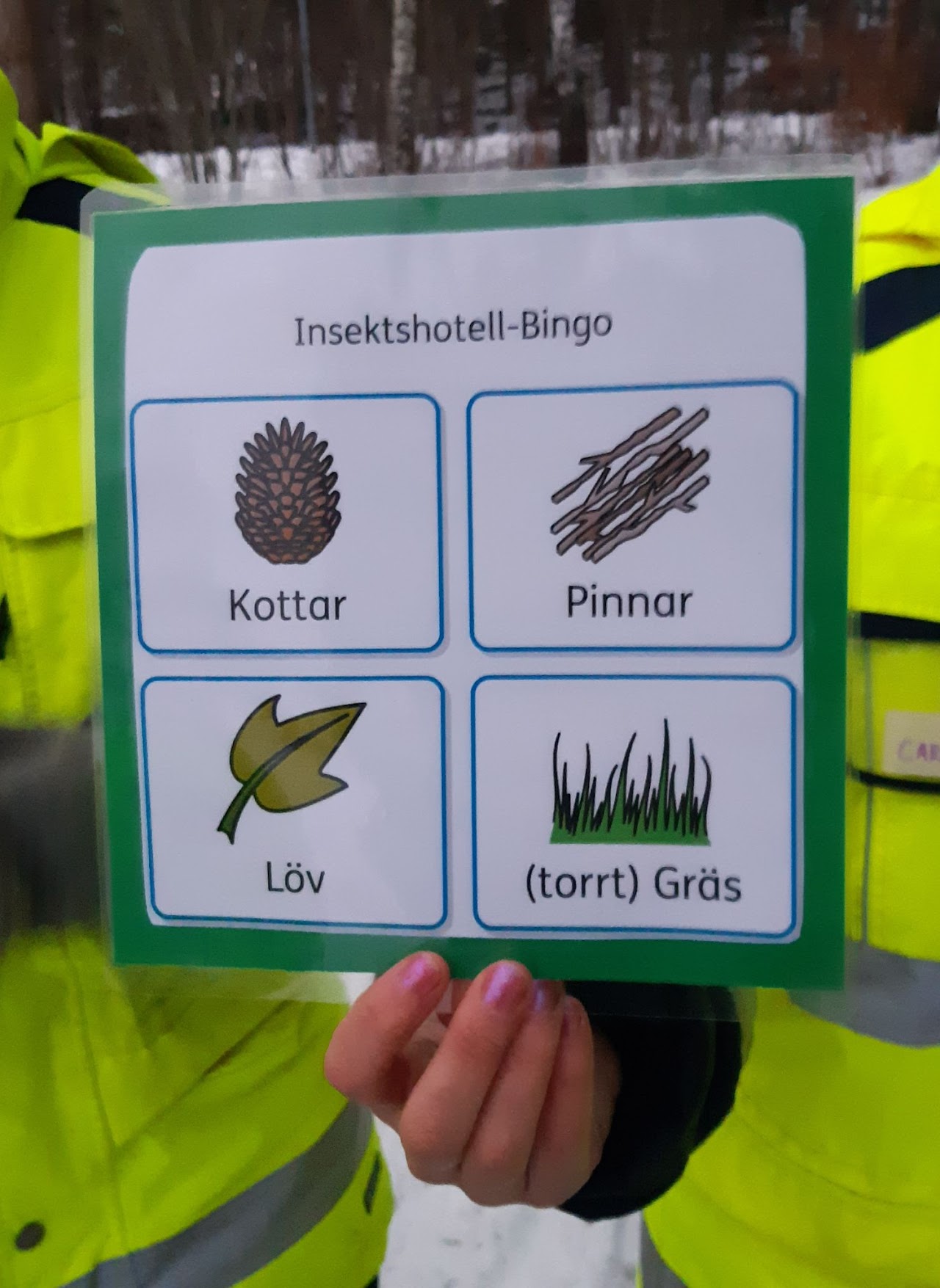 Bilden visar hur en person håller upp en laminerad spelbricka för insektshotells-bingo.