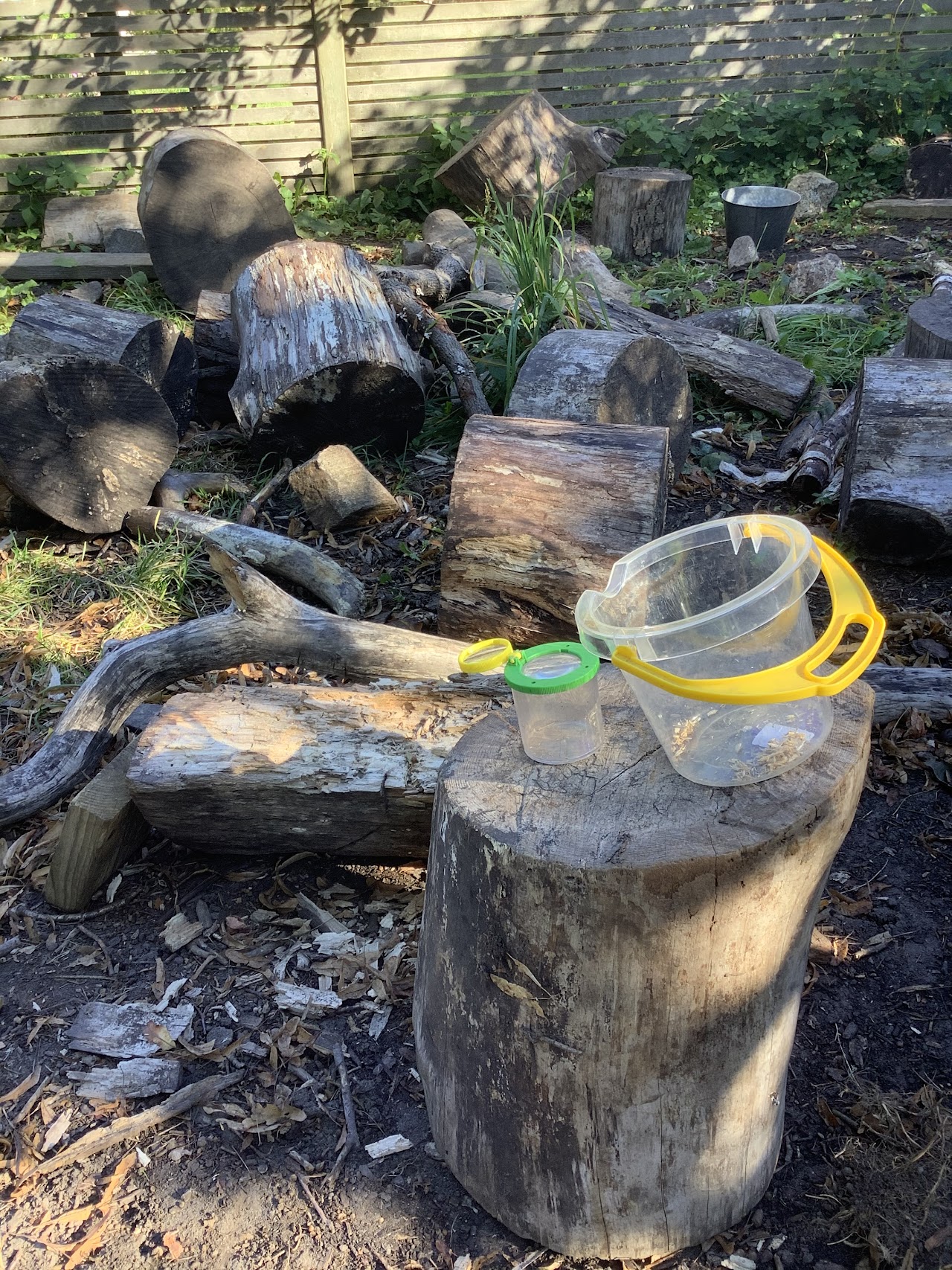 Bilden visar flera träkubbar som står och ligger huller om buller. På en av kubbarna står två genomskinliga små spänner. 