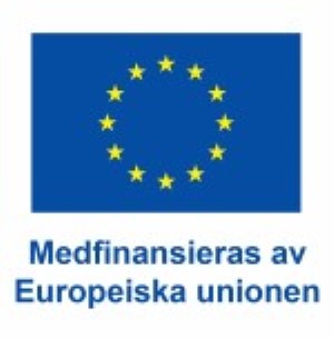 SV V Medfinansieras av Europeiska unionen_POS.jpg