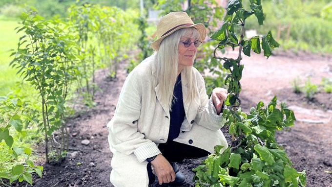 Utstallningstradgardar_Ulla.jpg
