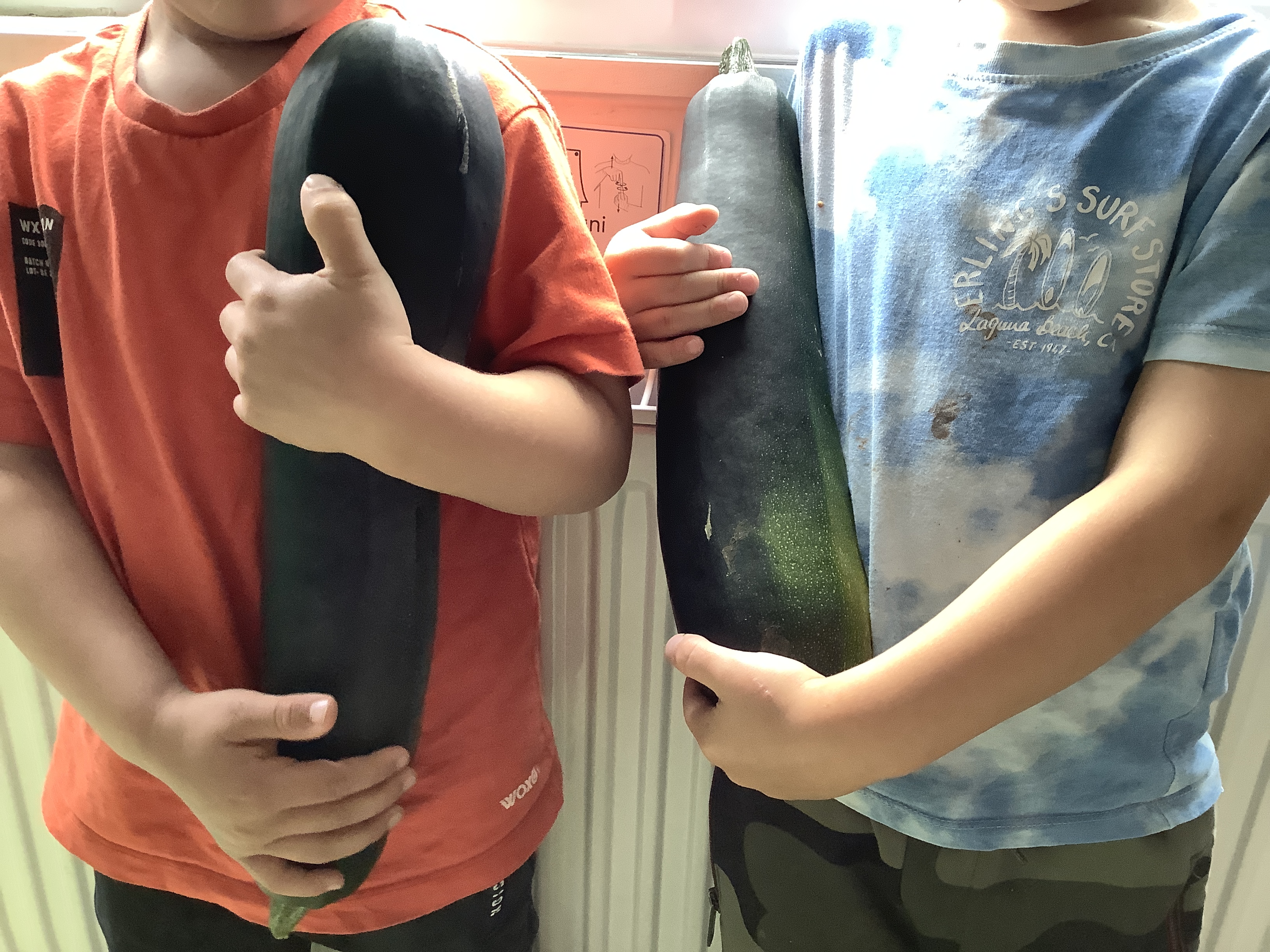 Bild som visar två barn som håller var sin stor squash. 
