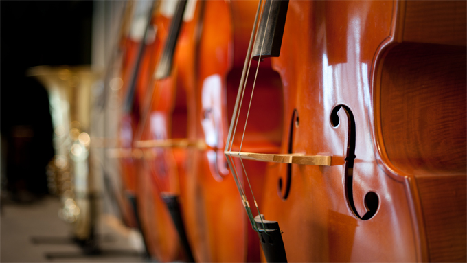 En bild på stråkinstrument som står på rad.
