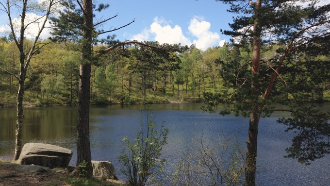 Bild på sjö omgiven av skogslandskap.