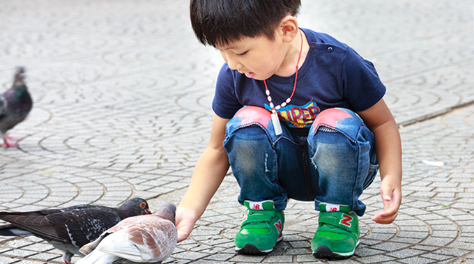 Bilden visar en liten mörkhårig pojke som sitter på huk och matar duvor.