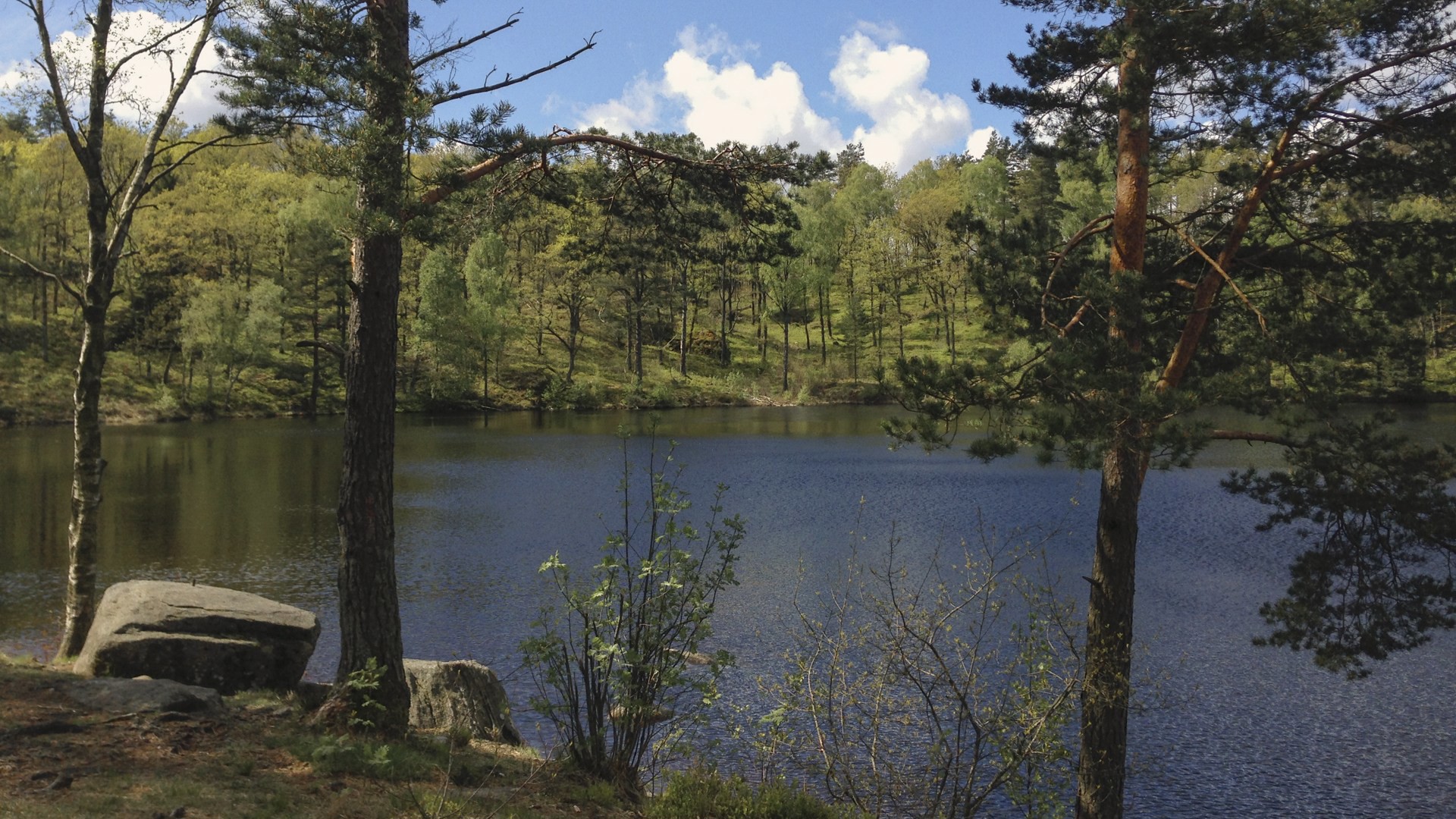 Bilden visar en naturbild på en sjö. Prästtjärn