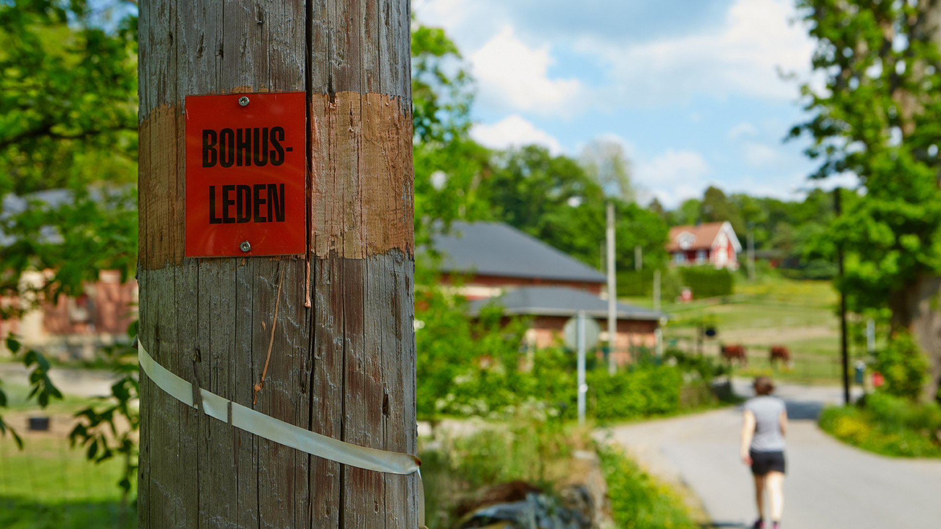 Bilden visar en naturbild