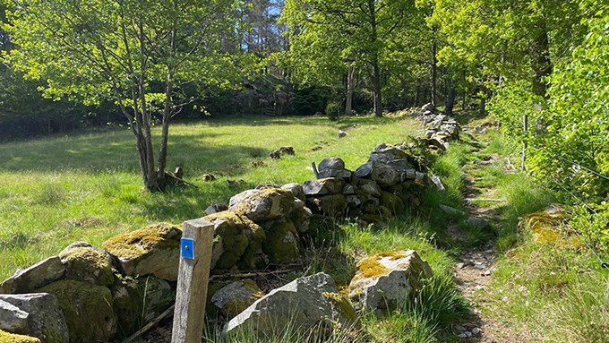 Bild från blå spåret i Levande Lexby.