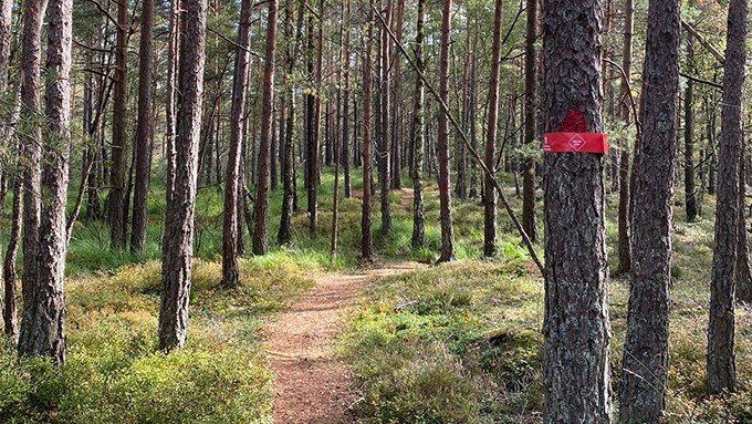 Bild från det röda spåret i Lexbybergen.