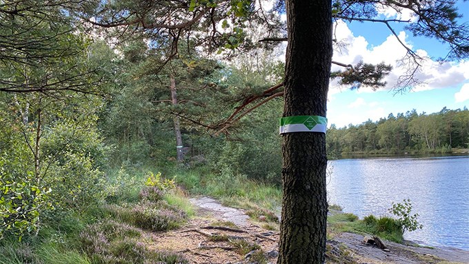 Bild på det grönvita spåret i Prästtjärn.