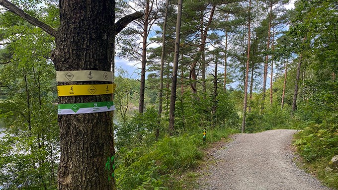Bild på det gula spåret i Prästtjärn.