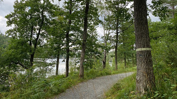 Bild på det ljusgula spåret i Prästtjärn.