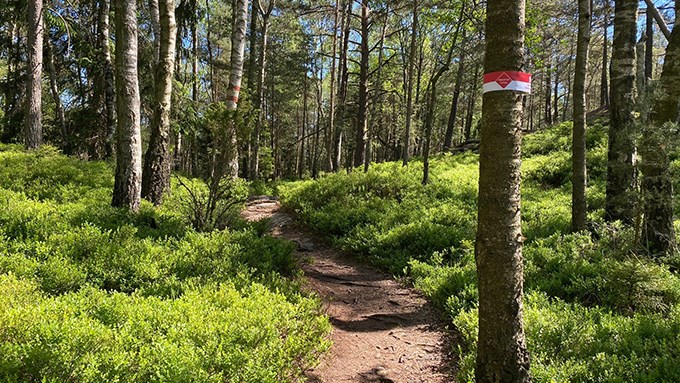 Bild från Sörlyckan – Bertilssons stuga. 