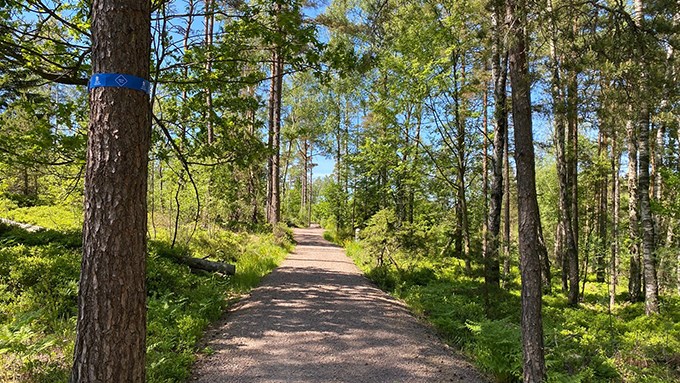 Bild på spåret vid Stans väg.